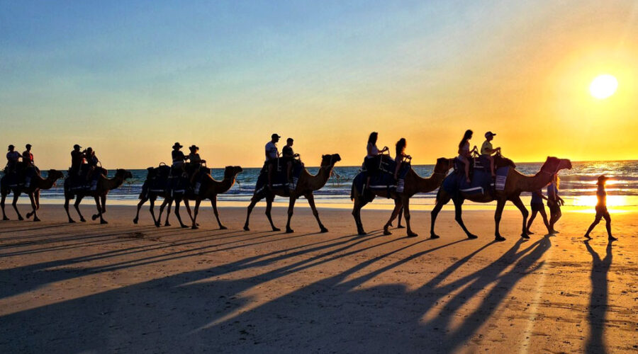 Camel ride