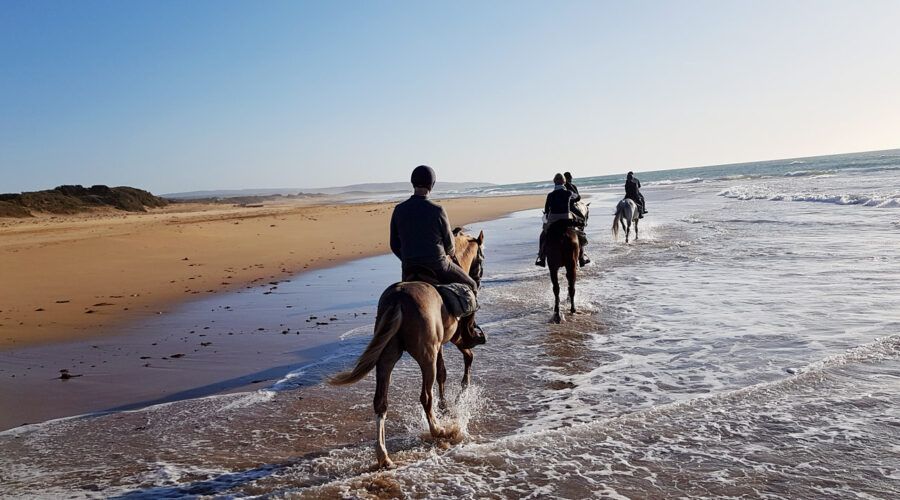 Horseback riding in Agadir